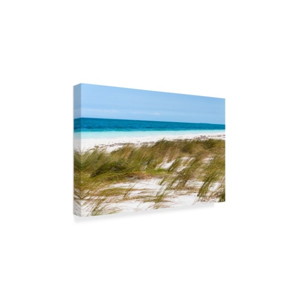 Philippe Hugonnard 'Wild Beach' Canvas Art,30x47